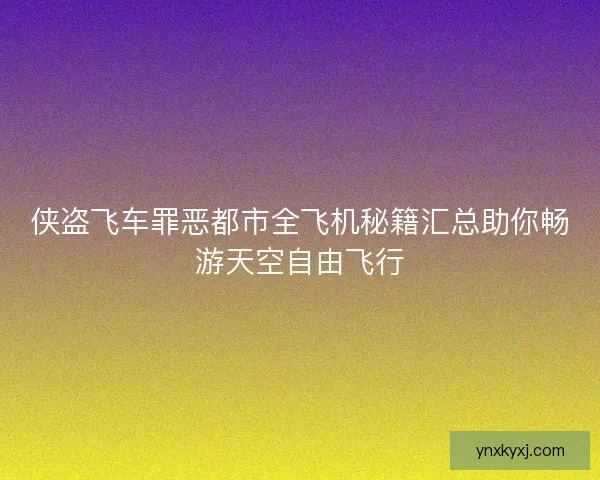 侠盗飞车罪恶都市全飞机秘籍汇总助你畅游天空自由飞行